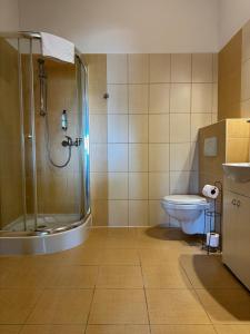 un baño con ducha y WC en IRIS Aparthotel, en Cracovia