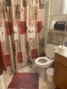 a bathroom with a toilet and a shower curtain at A Classy Uneic Peace in Brook Park