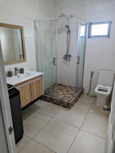 La salle de bains est pourvue d'une douche, d'un lavabo et de toilettes. dans l'établissement Blissful Abode GV, à Grand Gaube