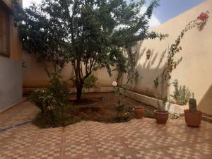 einen Innenhof mit einem Baum und einigen Topfpflanzen in der Unterkunft Villa haydi in Oujda