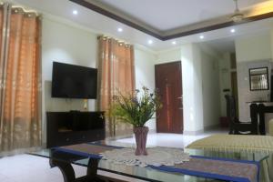 טלויזיה ו/או מרכז בידור ב-Private Furnished Penthouse Apartment With Rooftop Garden In Chittagong