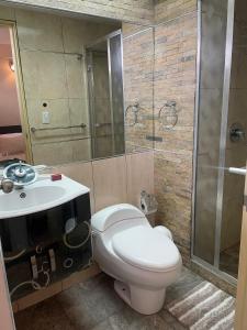 Apartamento tipo estudio في Mérida: حمام مع مرحاض ومغسلة ودش