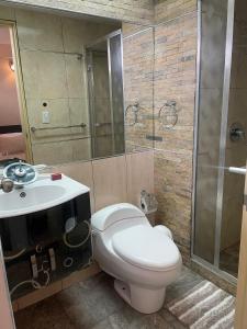 a bathroom with a toilet and a sink and a shower at Apartamento tipo estudio in Mérida +15 photos