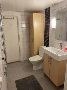 łazienka z toaletą i umywalką w obiekcie Lägenhet Gränna w mieście Gränna