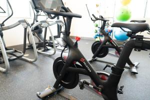 a row of exercise bikes in a gym at Modern Luxury In The Heart Of Knoxville in Knoxville