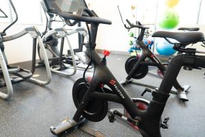 una fila de bicicletas estáticas en un gimnasio en Overlook 3210 Modern Luxury In Heart Of Knoxville, en Knoxville