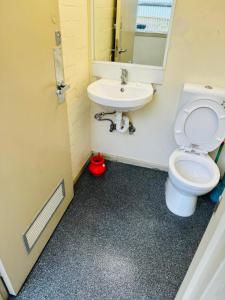 a bathroom with a toilet and a sink and a mirror at Ausis Accommodation Services in Melbourne
