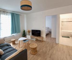 een woonkamer met een bank en een tv bij Cosy Flat - Stade de France in Saint-Denis
