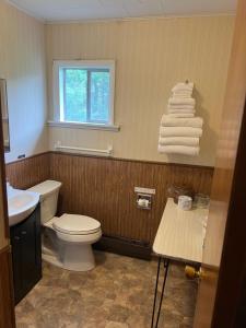 a bathroom with a toilet and a sink and towels at Colton Point Motel in Gaines
