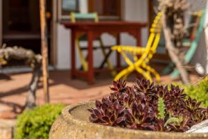 Ein Garten an der Unterkunft Obst- Ferienhof Ragg