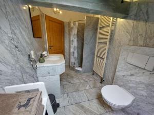 ein Bad mit einem WC, einem Waschbecken und einer Dusche in der Unterkunft Pleasant apartment in Füssen in Füssen