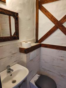 W łazience znajduje się umywalka, toaleta i lustro. w obiekcie Pokoje Gościnne Skalnik w mieście Kostrzyn nad Odrą