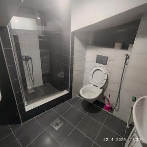 a bathroom with a shower and a toilet and a sink at Apartman in Vogošća