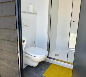 a bathroom with a toilet and a shower at SPOT Jelsum in Jelsum