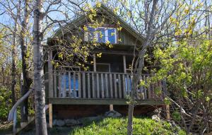 a tree house with a deck in the woods at Auberge Festive Sea Shack in Sainte-Anne-des-Monts