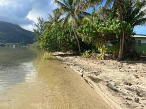 a beach with palm trees next to a body of water at LM Houses 2 in Puahua