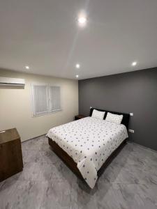 ein Schlafzimmer mit einem großen Bett in einem Zimmer in der Unterkunft House at Beach in Esmoriz