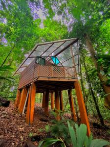 a tree house with a glass roof in the forest at Las Arrieras Nature Reserve and Ecolodge in Horquetas
