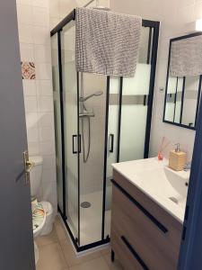 ein Bad mit einer Dusche, einem Waschbecken und einem WC in der Unterkunft Charmant T2 climatisé proche Calvi centre in Calvi