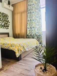 - une chambre avec un lit et une plante en pot dans l'établissement Old Batumi, à Batoumi