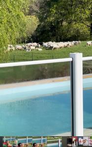 Fotografie z fotogalerie ubytování Chambre 4 couchages proche du bourg de La Bastide Clairence v destinaci Hasparren