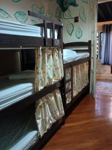 圣保罗Hostel Trilhas e Rotas - a 150m da Avenida Paulista的房间里的一组双层床