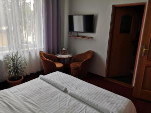 a hotel room with a bed and a table and a tv at Pokoje Goscinne in Orzesze +12 photos