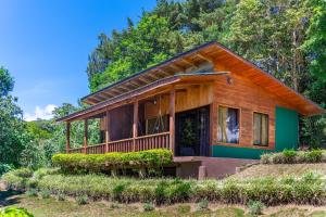 a house in the middle of a forest at Campo Verde B&B - Monteverde Costa Rica in Monteverde Costa Rica