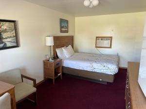 um pequeno quarto de hotel com uma cama e uma cadeira em VISTA VILLA MOTEL em Ludington