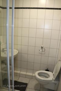 a bathroom with a toilet and a sink at Erbacher Hof in Homburg