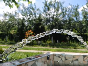 Zahrada ubytování Apartmani Vukanac