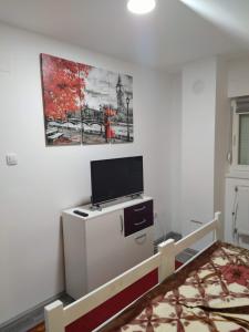 TV a/nebo společenská místnost v ubytování Apartmani Vukanac