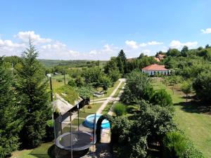Příroda nedaleko apartmánu