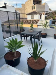 eine Terrasse mit einem Tisch und Topfpflanzen auf dem Dach in der Unterkunft Plaza de la fuente Granadilla de Abona Tenerife sur Only Adults con terraza privada in Granadilla de Abona