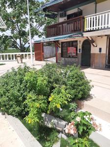 a building with a bunch of plants in front of it at Casa Trattoria Itaya in Iquitos