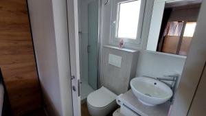 Kúpeľňa v ubytovaní MOBILE HOMES SELCE - ALPE JADRAN MOBIL - 631