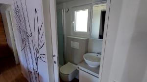 Kúpeľňa v ubytovaní MOBILE HOMES SELCE - ALPE JADRAN MOBIL - 631