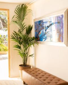 a living room with a bench and a plant at Hostal Bonanza in Sitges