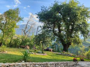a park with a tree and a stone wall at Casa Vacanze Maja e Ermes in Arsita