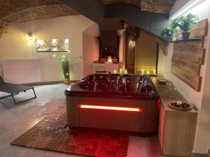 cocina con fogones en una habitación en Villa Ariya Luxury Apartments & Spa Celje en Celje