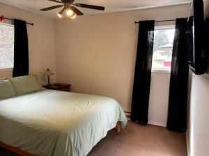 um quarto com uma cama e uma ventoinha de tecto em Kaslo, Upper Floor Paradise, 2 Beds and Hot Tub em Nelson