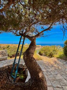 a tree with a swing in front of the ocean at Villa Incina - Sea House in Polignano a Mare