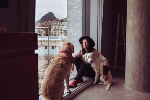 a woman and two dogs sitting on a window sill at Radisson RED Hotel V&A Waterfront Cape Town in Cape Town