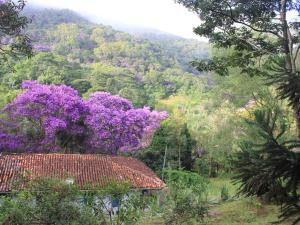 una montaña con árboles púrpuras y una casa en primer plano en Chalé na floresta com varanda, en Ouro Preto
