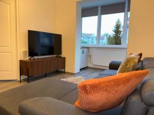 un soggiorno con divano e TV a schermo piatto di Pinewood Apartment a Miercurea-Ciuc