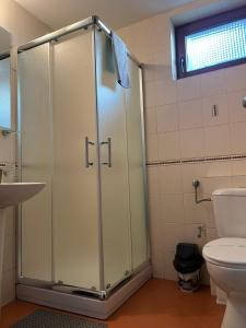 a bathroom with a shower and a toilet at Anastasija 109 in Kopaonik