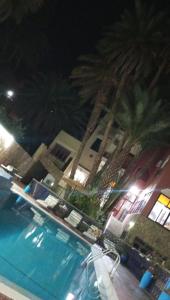 two palm trees next to a swimming pool at night at Maison linda in Marrakech