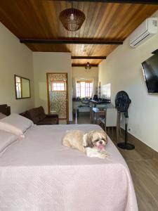 a dog laying on a bed in a room at Hospedaria Reno in São Bento do Sapucaí