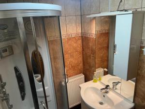 a bathroom with a sink and a shower at Cabana Pastravarul in Topliţa +28 photos