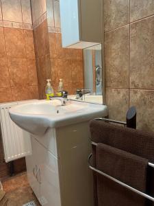 a bathroom with a white sink and a mirror at Cabana Pastravarul in Topliţa